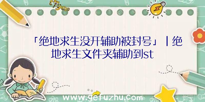 「绝地求生没开辅助被封号」|绝地求生文件夹辅助到st